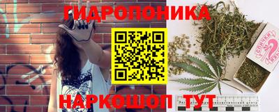 спайс Коммунар